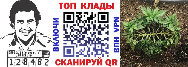 Названия наркотиков Глазов Метадон  КОКАИН  Мефедрон  АМФЕТАМИН  Конопля  Альфа ПВП  ГАШИШ 