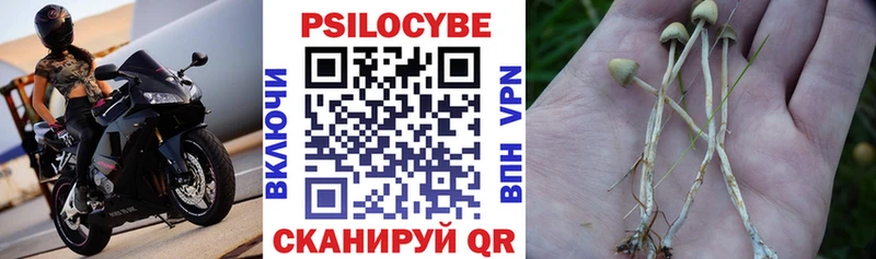 Псилоцибиновые грибы Psilocybine cubensis  ссылка на мегу   Глазов 