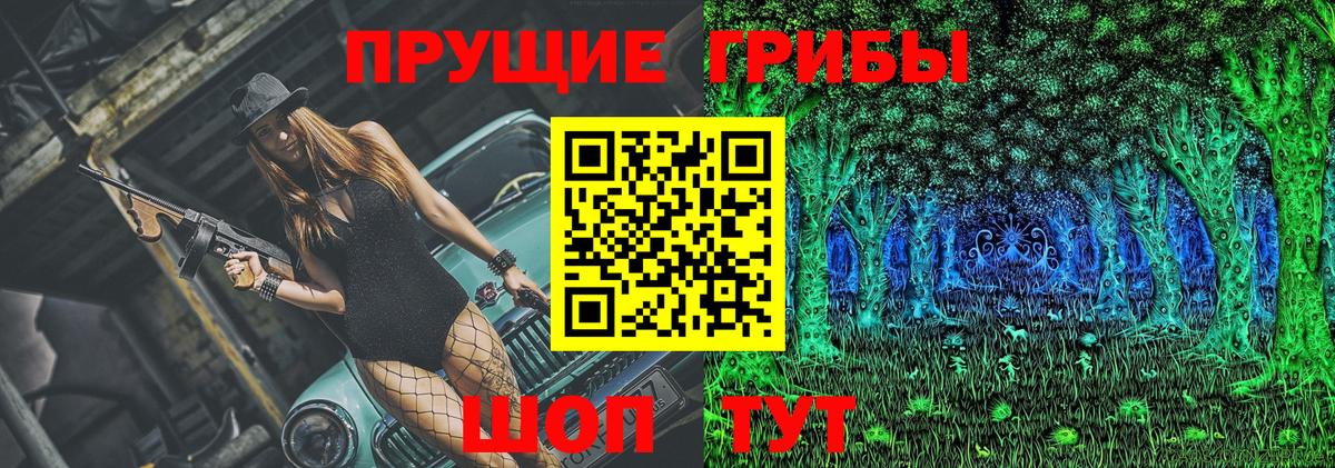 Галлюциногенные грибы прущие грибы  наркота  Глазов  Вход с VPN 