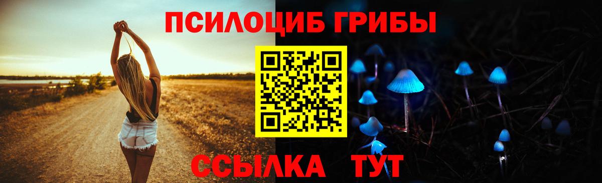 Псилоцибиновые грибы Psilocybine cubensis Глазов